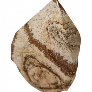 Mocha Stone Point