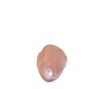Rose Quartz Dragons Egg